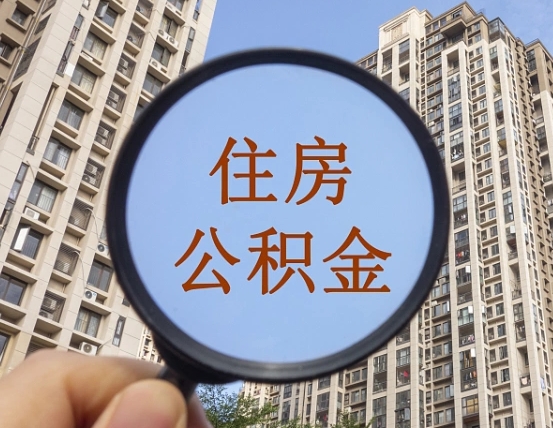 永新退休后查不到公积金明细了吗（退休后公积金查询不到原因）